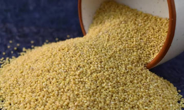 FOXTAIL MILLETS